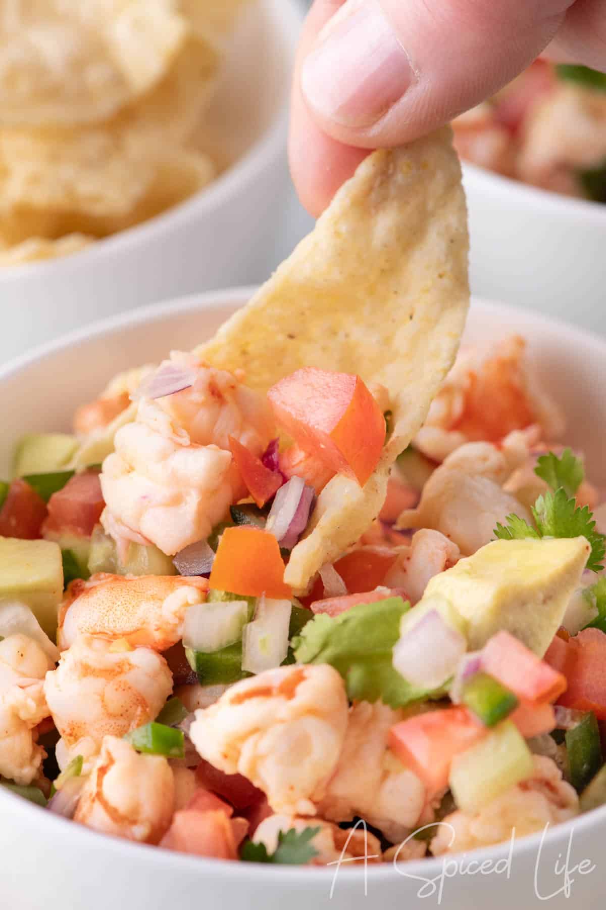 Bowl of shrimp ceviche with chunks of avocado, tomato, cucumber, and red onion, served with tortilla chips.