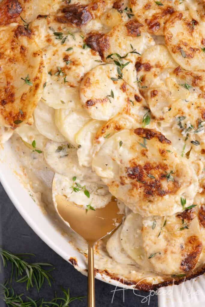 Close-up of browned and bubbly potato gratin with fresh herbs