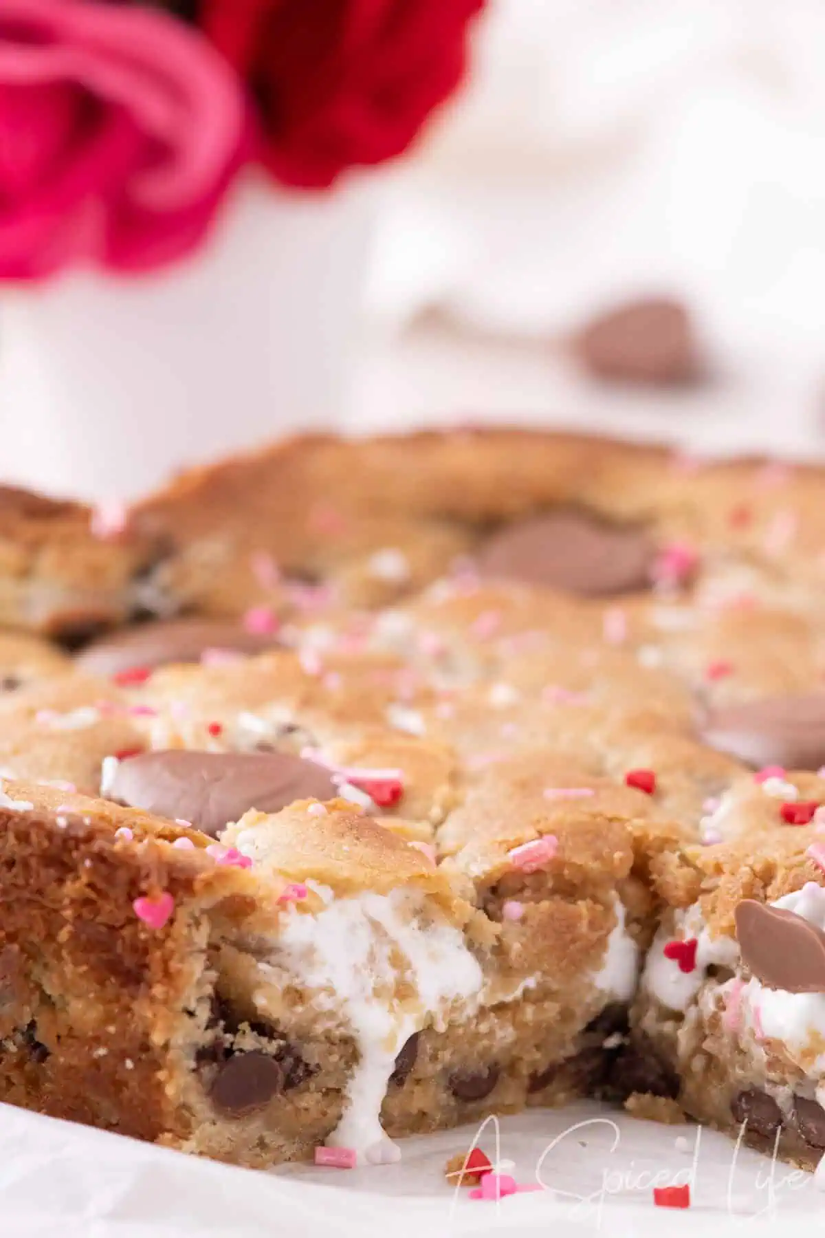 Gooey marshmallow chocolate chip cookie cake with soft center