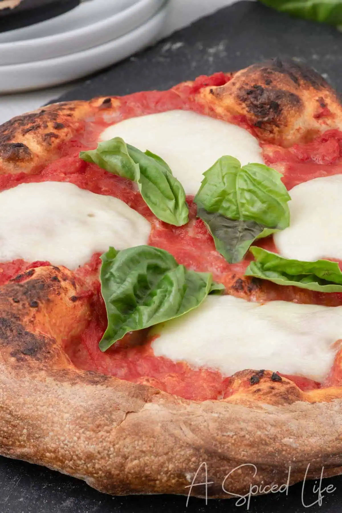 Close-up of Neapolitan-style pizza with tomato sauce, fresh mozzarella, and basil leaves