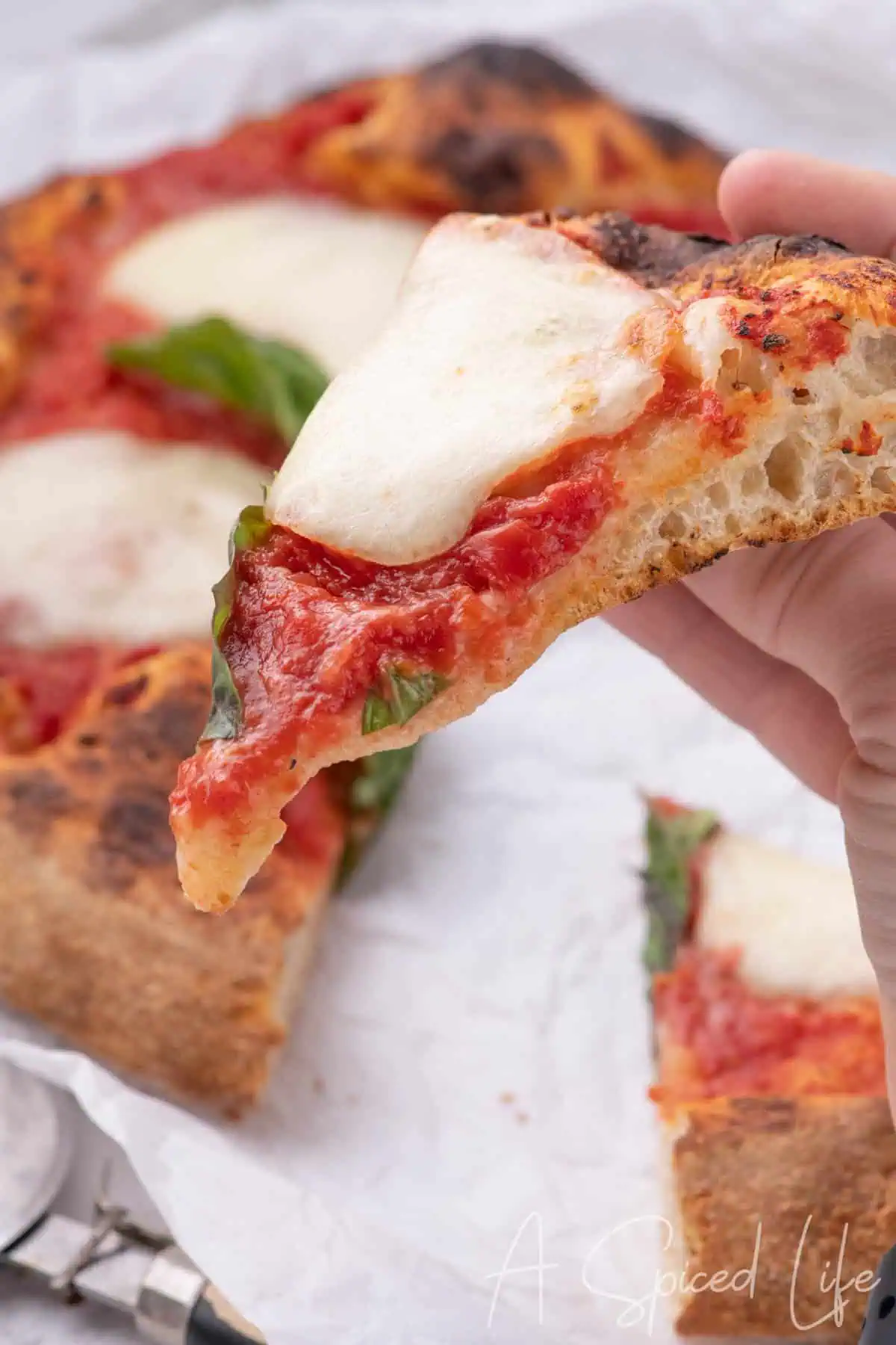 Hand holding a slice of Neapolitan pizza showing airy crust and melted mozzarella