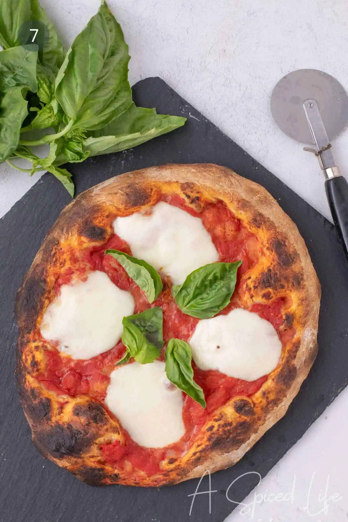 Finished Neapolitan-style Margherita pizza topped with fresh basil and mozzarella