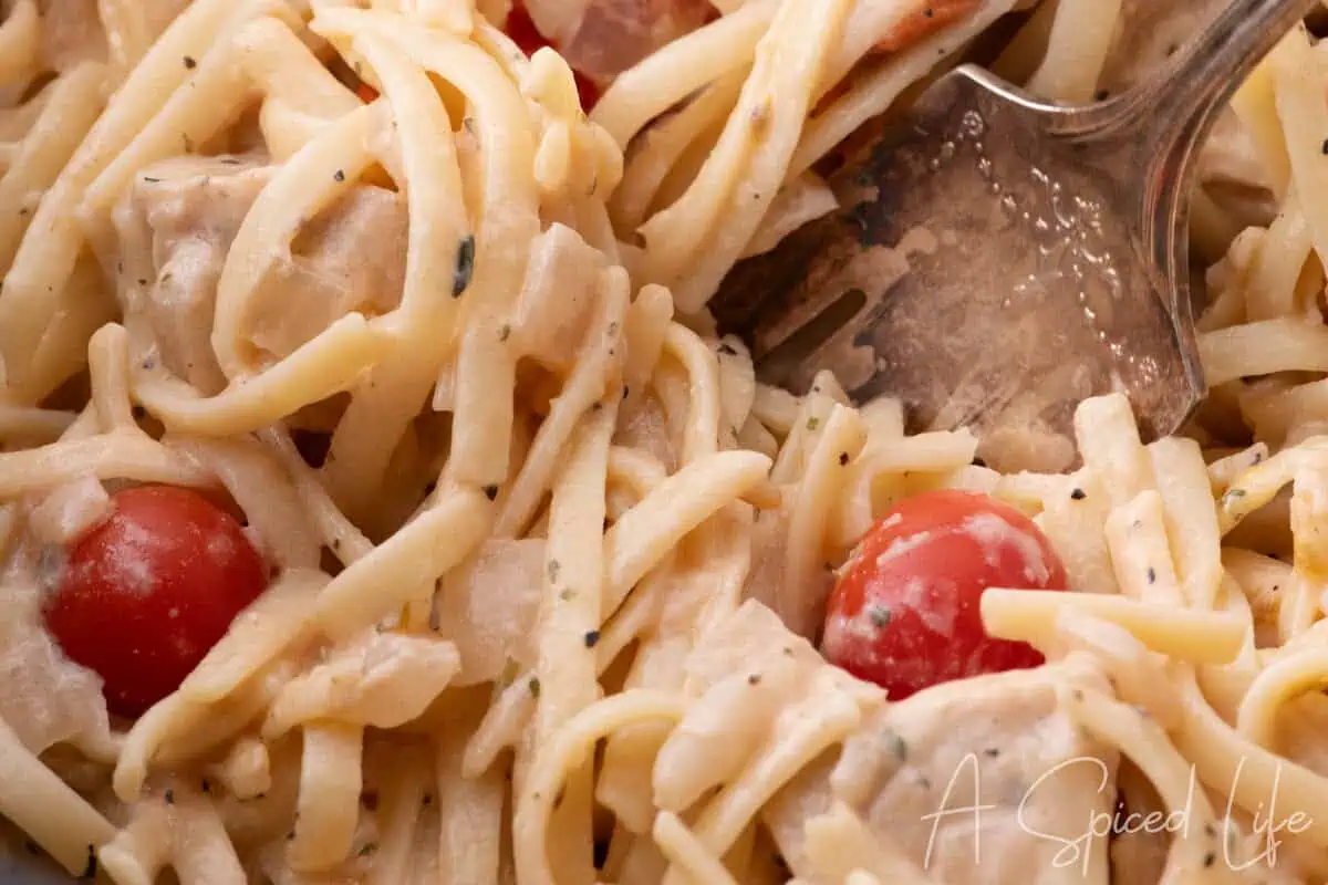 Close-up of creamy chicken spaghetti with cherry tomatoes and herbs on a fork
