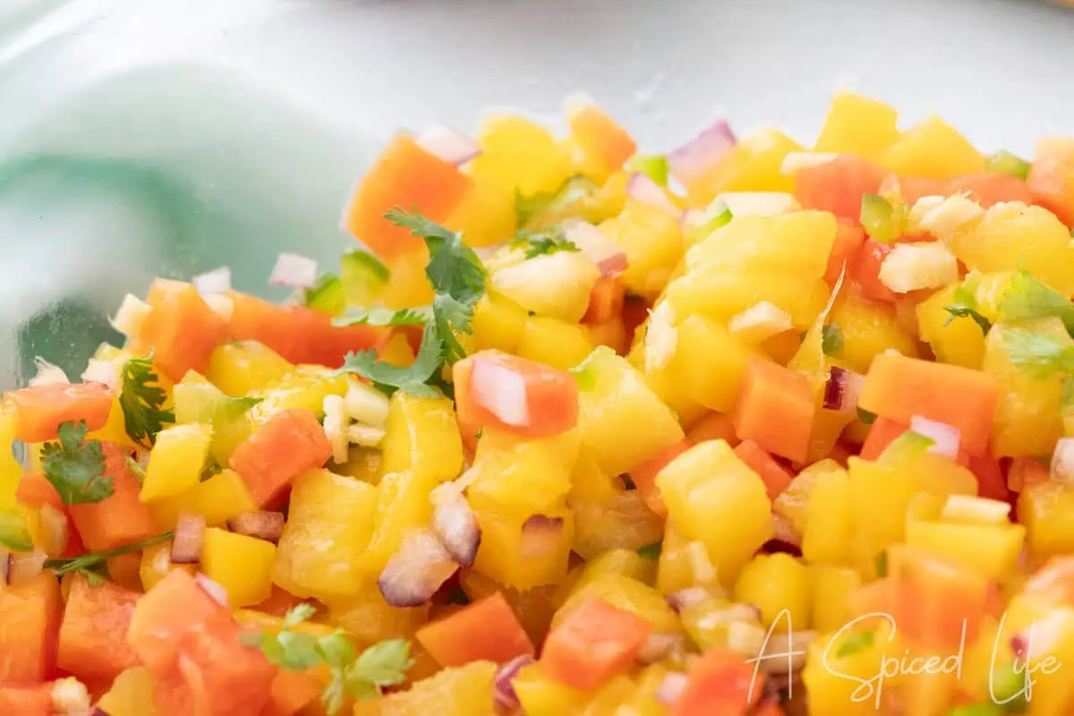 close up of tropical fruit salsa with mango papaya pineapple and cilantro