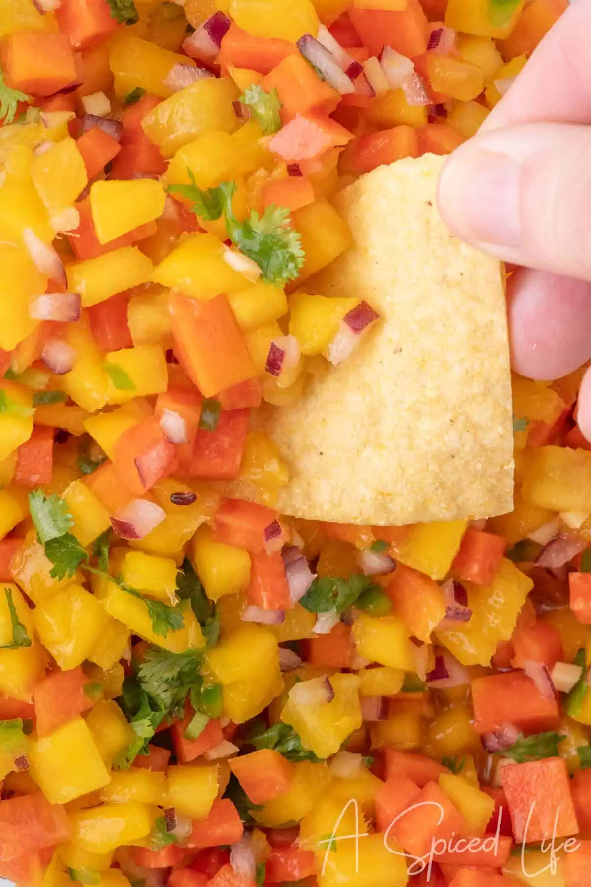 tortilla chip scooping mango papaya salsa with pineapple showing fresh diced fruit texture