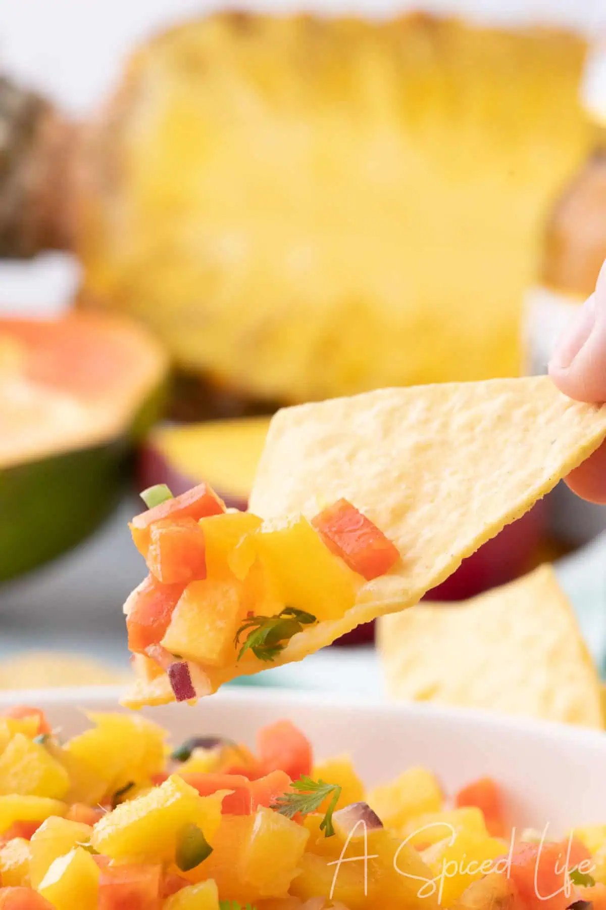 tortilla chip scooping chunky mango papaya salsa with pineapple