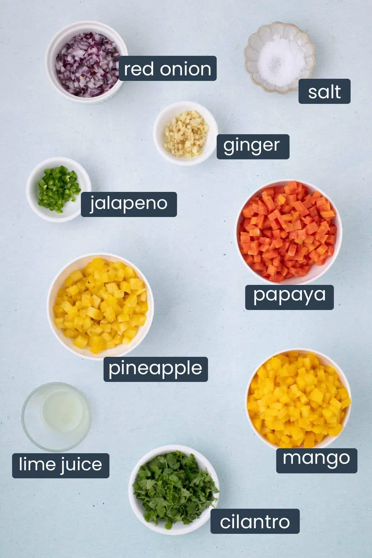 Ingredients for mango papaya salsa including diced mango, papaya, pineapple, red onion, jalapeño, ginger, cilantro, lime juice, and salt
