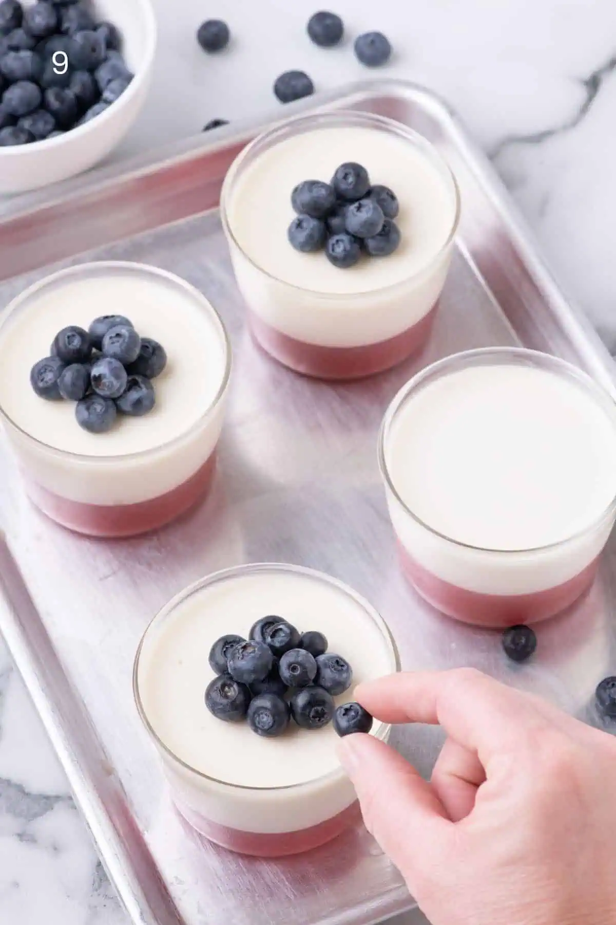 Fresh blueberries added to coconut panna cotta with a strawberry layer.