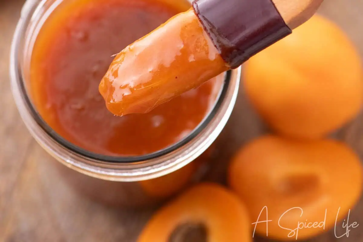 Homemade apricot barbeque sauce served in a glass jar
