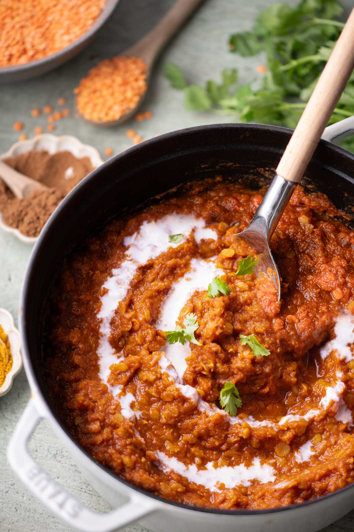 Thick tomato lentil stew in a Dutch oven with red lentils, garam masala, curry powder, and cilantro nearby