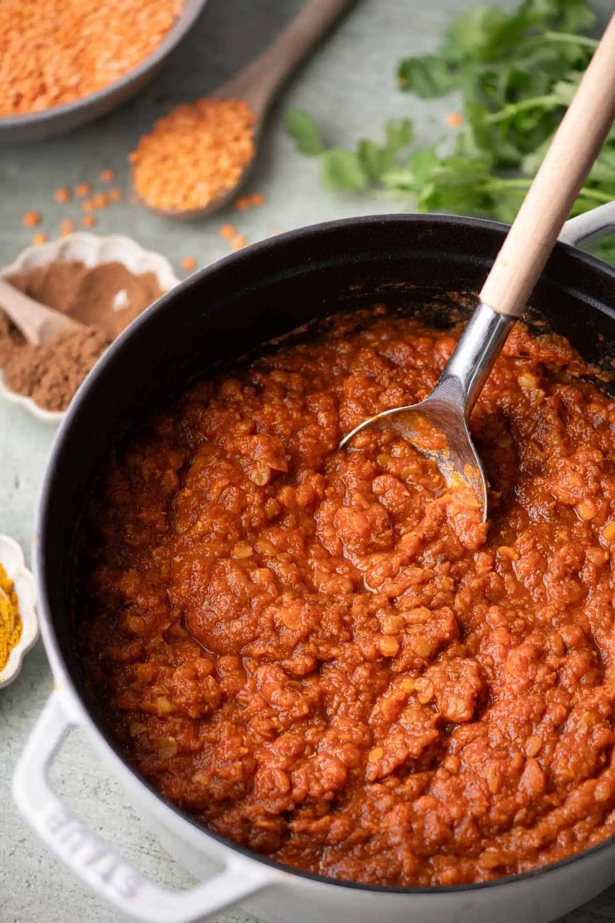 Thick tomato lentil stew in a Dutch oven with red lentils, garam masala, curry powder, and cilantro nearby