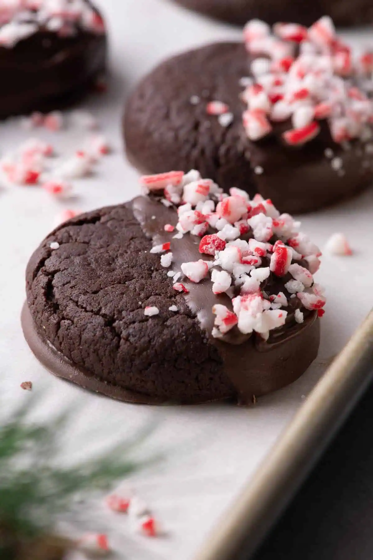Close-up of a thick chocolate cookie half dipped in chocolate and topped with crushed peppermint, with evergreen in the foreground.