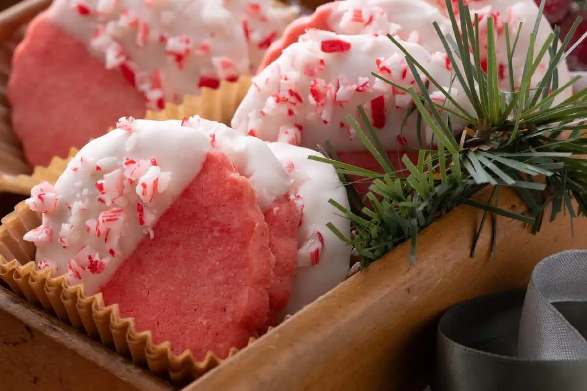 Pink peppermint cookies dipped in white chocolate and sprinkled with crushed candy canes